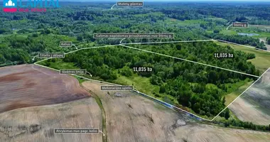 Plot of land in Avietyne, Lithuania