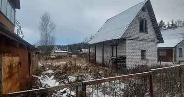 House in Tracciakouski sielski Saviet, Belarus