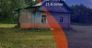 House in Krasnienski sielski Saviet, Belarus