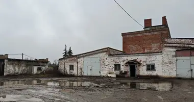 Склад 12 000 м² в Krasnyj Put, Россия