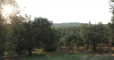 Działka w Polygyros Municipality, Grecja