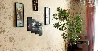 2 room apartment in Minsk, Belarus