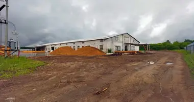 Lager 1 859 m² in Viesialouski sielski Saviet, Belarus