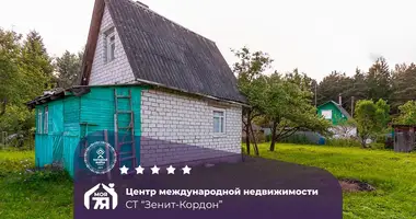 Haus in Naracanski sielski Saviet, Belarus