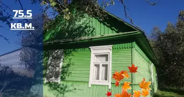 House in Baranavichy, Belarus