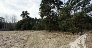 Участок земли в Домачевский сельский Совет, Беларусь