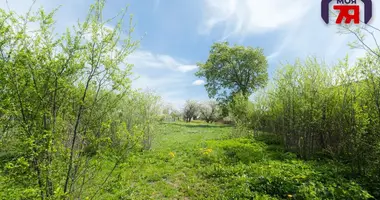 Дом в Озеро, Беларусь