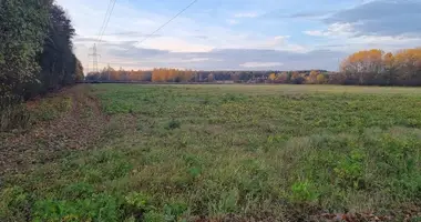 Apartamento en Kosewko, Polonia
