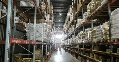 Entrepôt 3 570 m² dans Dzerzhinsky, Russie