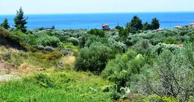 Terrain dans Chaniotis, Grèce