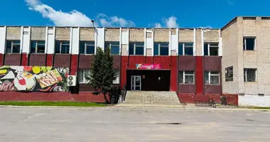 Commercial property 855 m² in Siemiezava, Belarus
