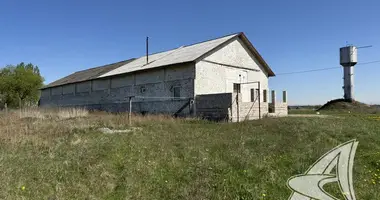 Gewerbefläche 1 838 m² in Chidrynski sielski Saviet, Belarus