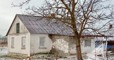 House in Zhabinka District, Belarus