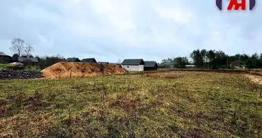 Plot of land in Svabski sielski Saviet, Belarus