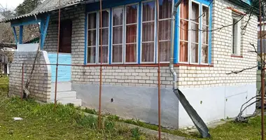 House in Radaskovicki sielski Saviet, Belarus