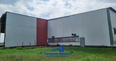 Produktion 2 233 m² in Lienina, Belarus