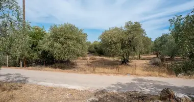 Parcela en Skala Kallirachis, Grecia
