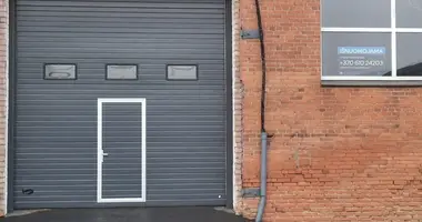 Коммерческое помещение 330 м² в Алитус, Литва