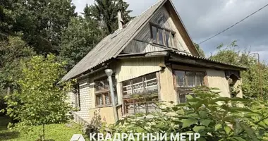 Casa en Piatryskauski sielski Saviet, Belarús