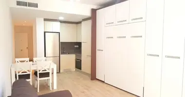 Studio apartment 1 bathroom in Alacant Alicante, Spain