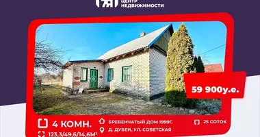 Cottage in Salihorsk District, Belarus