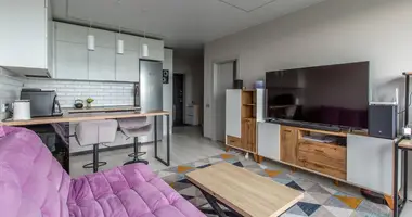 2 room apartment in Minsk, Belarus