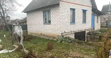 House in Rudzienski sielski Saviet, Belarus