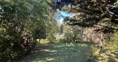 6 room apartment in Hinterbruhl, Austria
