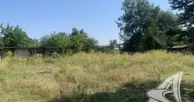 Plot of land in Muchaviecki sielski Saviet, Belarus