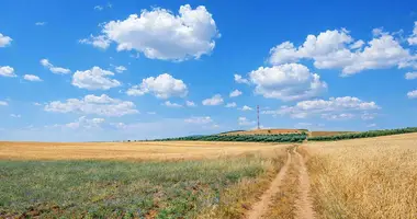 Plot of land in Nea Triglia, Greece