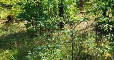 Grundstück in Woiwodschaft Masowien, Polen