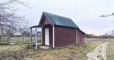 House in Chidrynski sielski Saviet, Belarus