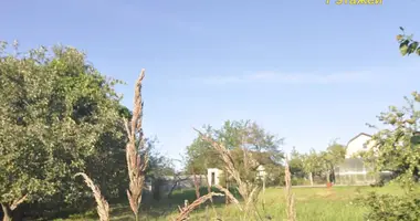 Участок земли в Голоцкий сельский Совет, Беларусь