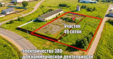 Nieruchomości komercyjne 100 m² w Nowy Dwór, Białoruś