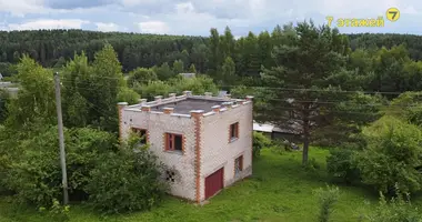 House in Haradocki sielski Saviet, Belarus