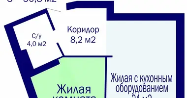 2 room apartment in Minsk, Belarus