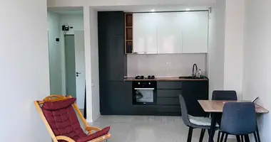 1 Bedroom Apartment for Rent in Tbilisi en Tiflis, Georgia