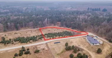 Apartment in Debogora, Poland