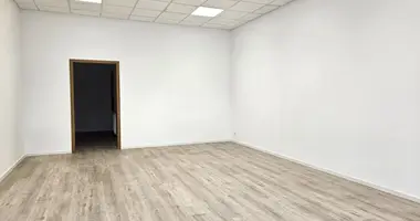 Квартира в Мосина, Польша