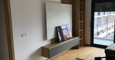 Apartment in Podgorica, Montenegro
