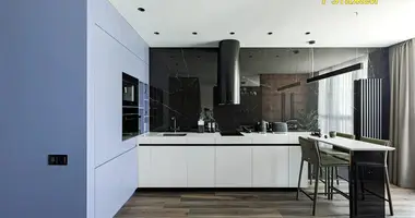 2 room apartment in Minsk, Belarus