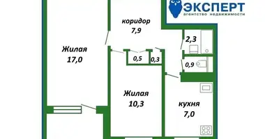 2 room apartment in Minsk, Belarus