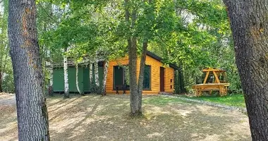 Dom w Mariampol, Litwa