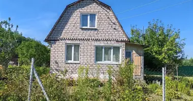 House in Piatryskauski sielski Saviet, Belarus