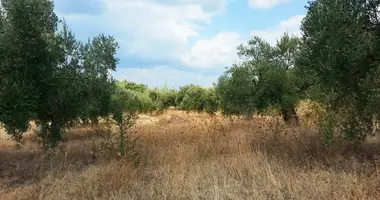 Grundstück in Gemeinde Sithonia, Griechenland