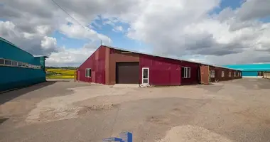 Warehouse 1 351 m² in Kirsy, Belarus