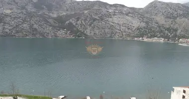 Коммерческое помещение в Черногория