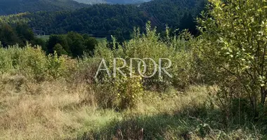 Terrain dans Opcina Mrkopalj, Croatie
