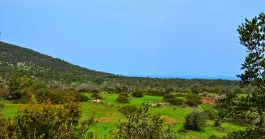 Plot of landin Pafos, Cyprus
