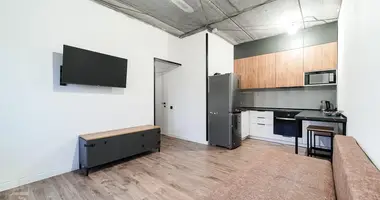 2 room apartment in Kalodziscanski sielski Saviet, Belarus